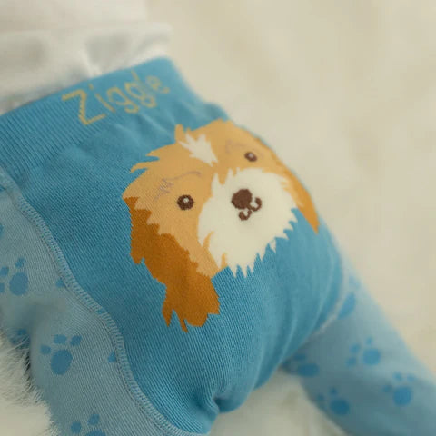 Ziggle Baby Boys Leggings & Socks Set