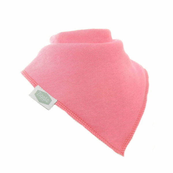 Ziggle Baby Girls Hearts and Bows Bib Set