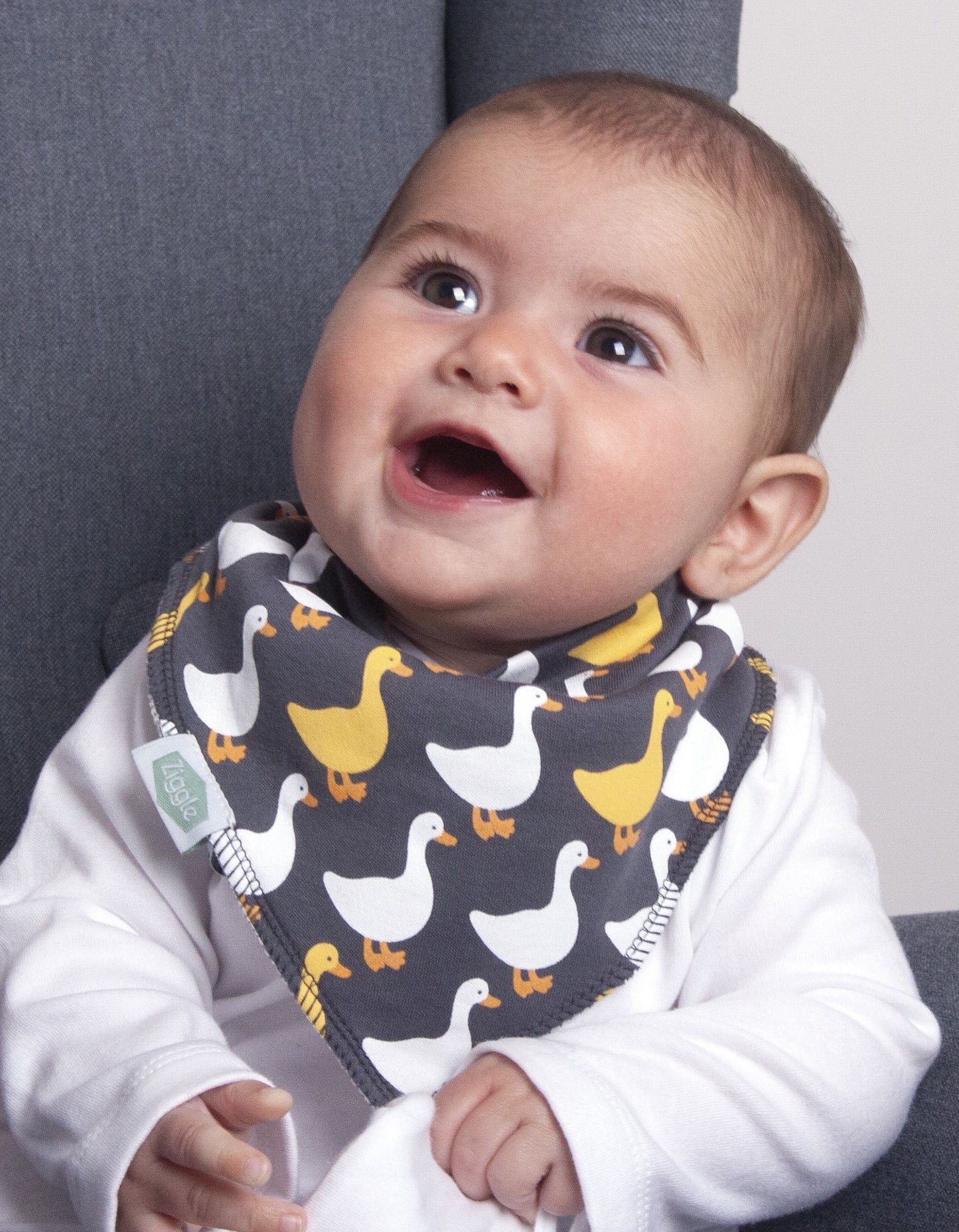 Ziggle Baby Boys Farm Geese Bib