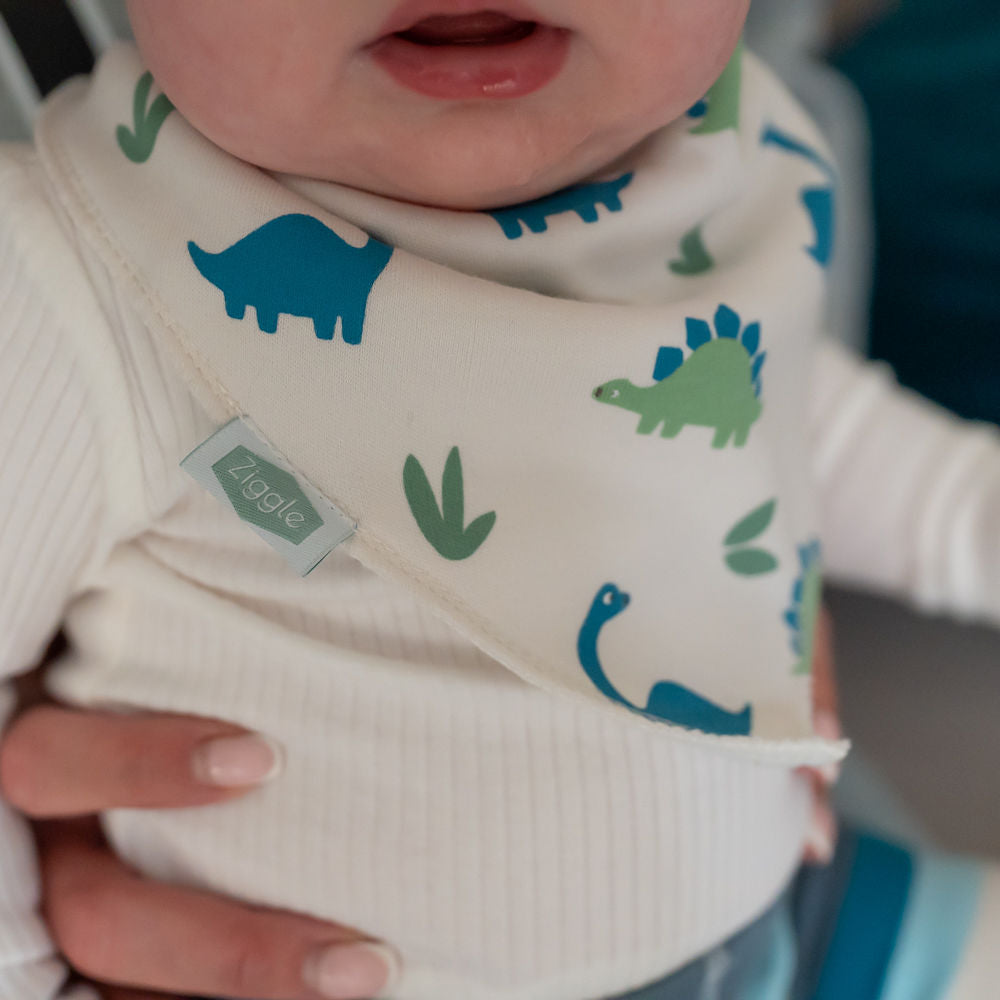 Ziggle Baby Boys Dino and Stars Bib Set