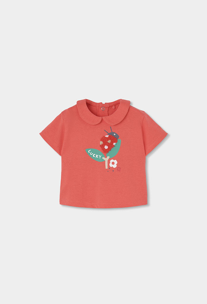 Boboli Baby Girls Ladybird 2 Piece Top and Leggings Set