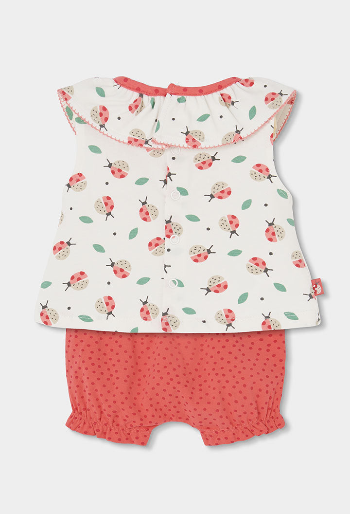 Boboli Baby Girls Ladybird Top and Shorts Set