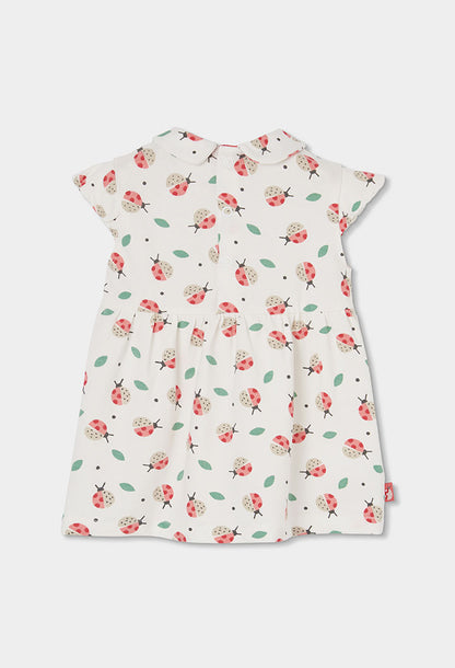 Boboli Baby Girls Lady Bird Knit Dress