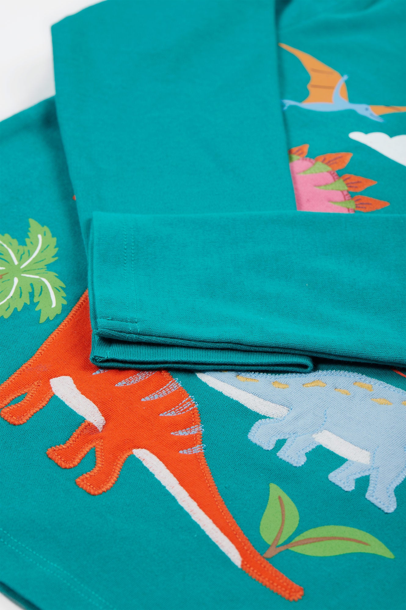 Frugi Baby Boy Iguana and Dinosaur Adventure Applique Top