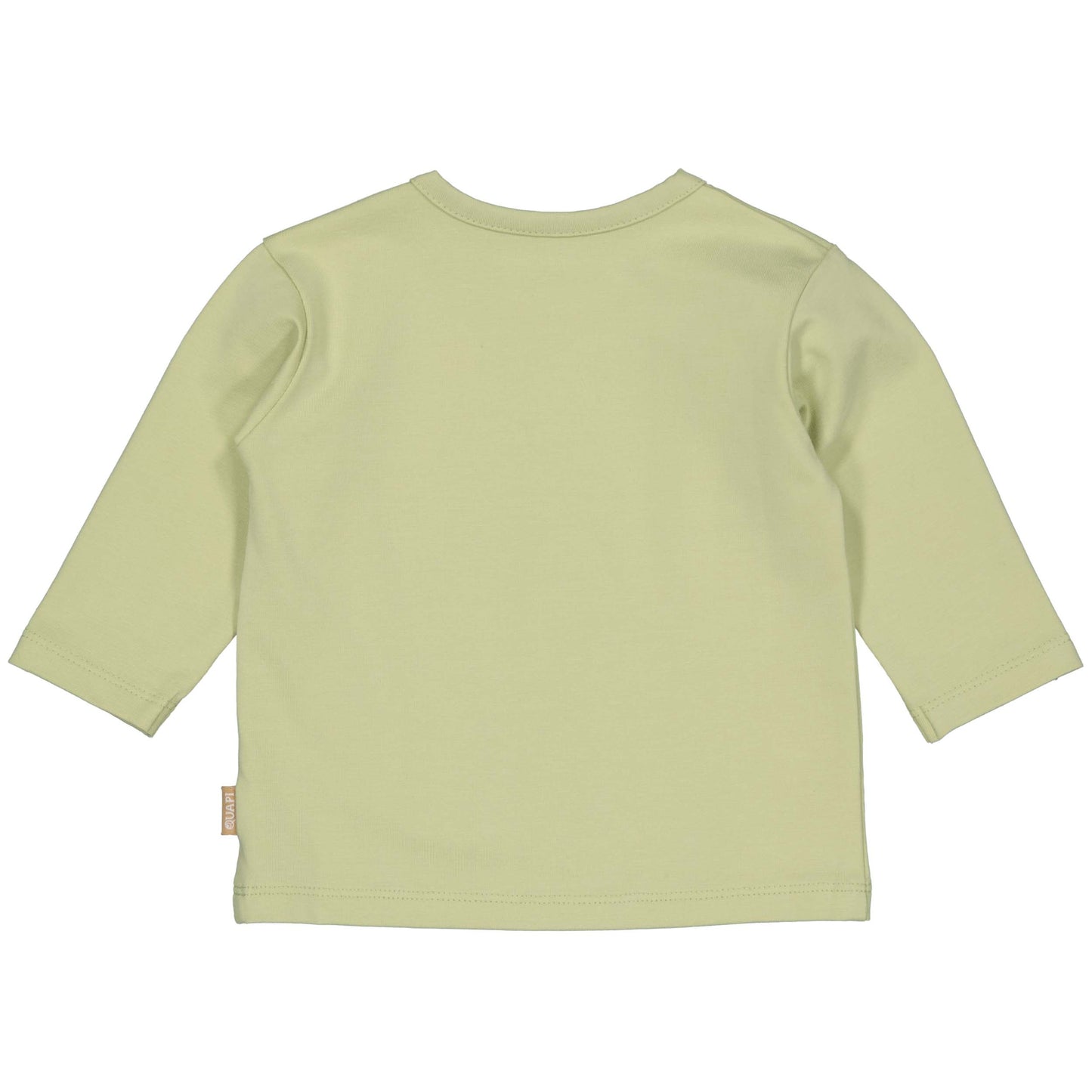 Quapi Baby Boys Soft Green T-shirt