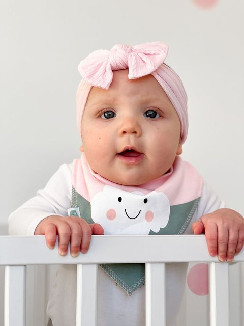 Ziggle Baby Girls Cuddly Pink Bibs Set