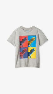 Hatley Boys Dino Block Graphic T-Shirt