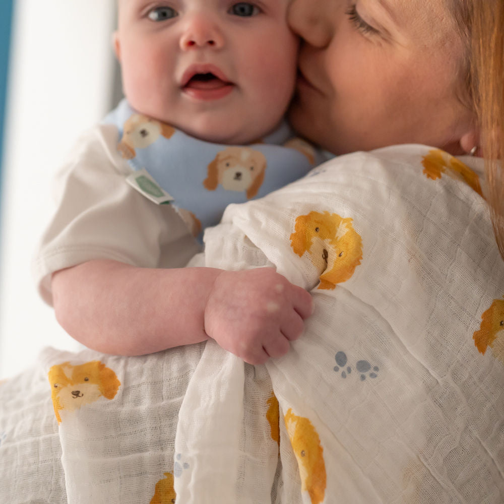 Ziggle Baby Boys Cockapoo Swaddle