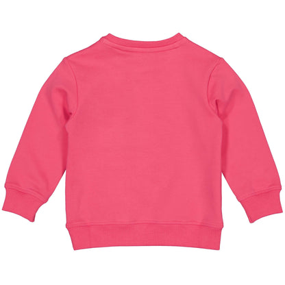 Quapi Girls Hot Pink Sweater and Leggings Set