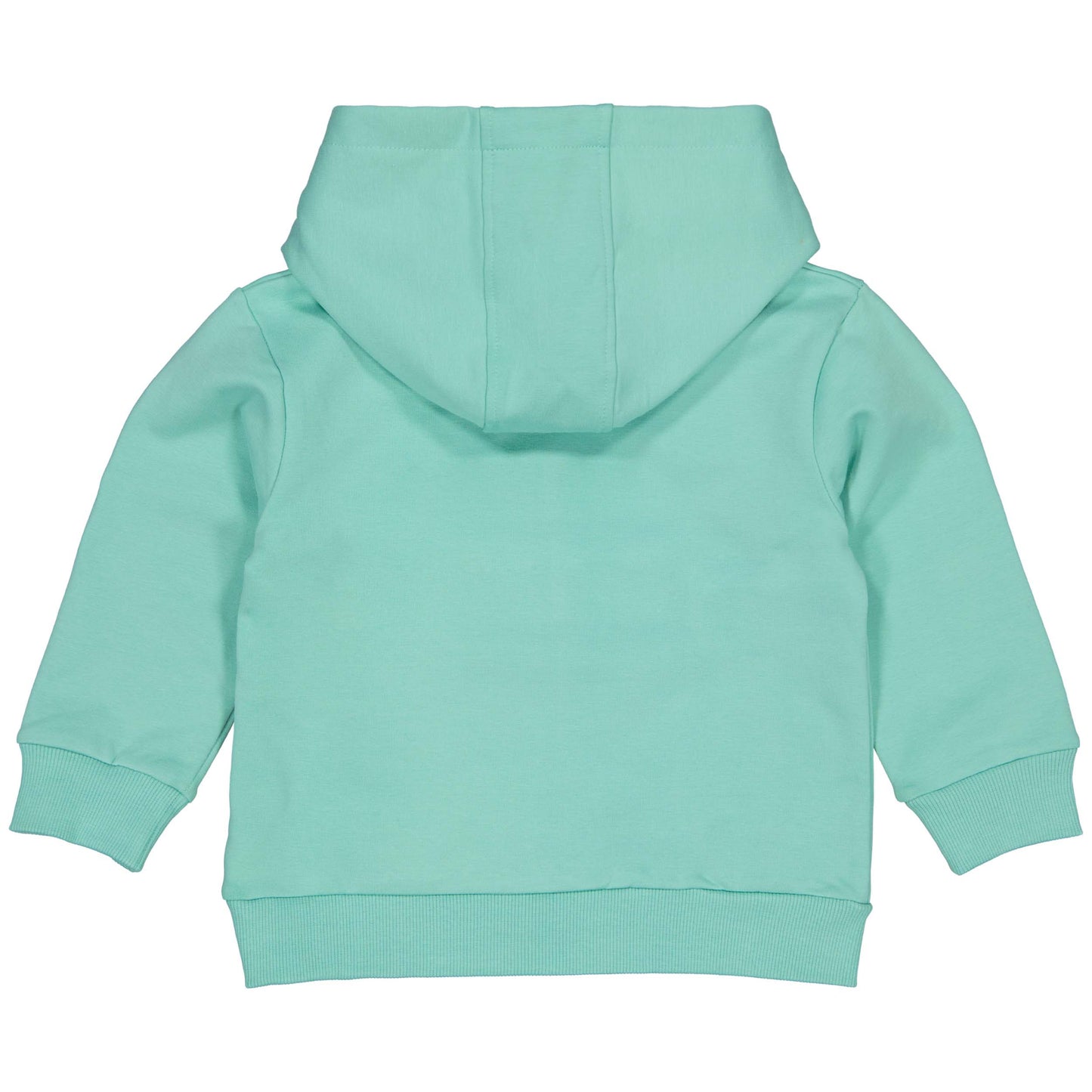 Quapi Boys Seagreen Xplore Sweater