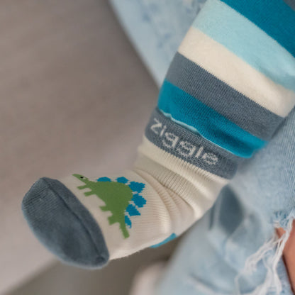 Ziggle Baby Boy Dinosaur 4 Pack Boxed Socks Set