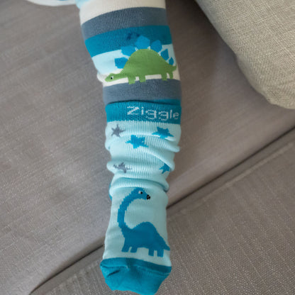 Ziggle Baby Boy Dinosaur 4 Pack Boxed Socks Set
