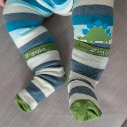 Ziggle Baby Boy Dinosaur 4 Pack Boxed Socks Set