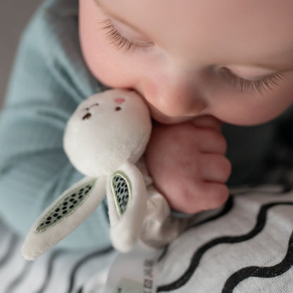 Ziggle Baby Girls Bunnies Wrist Rattles