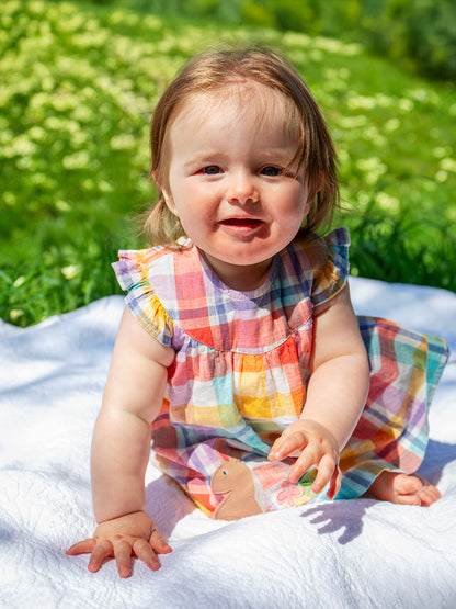 Frugi Baby Girls Springtime Check Rabbit Flora Body Dress