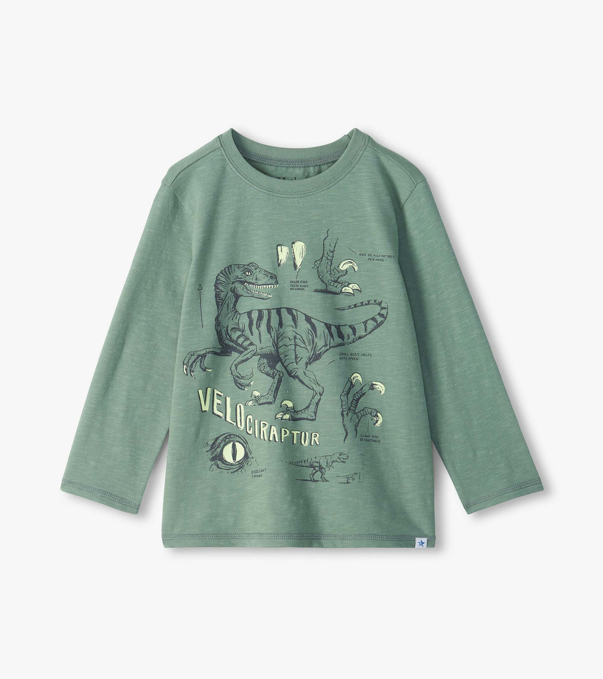 Hatley Boys Velociraptor Dinosaur Glow in the Dark  T-Shirt