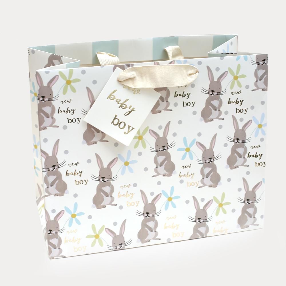Caroline Gardner Bunny New Baby boy Landscape Gift Bag